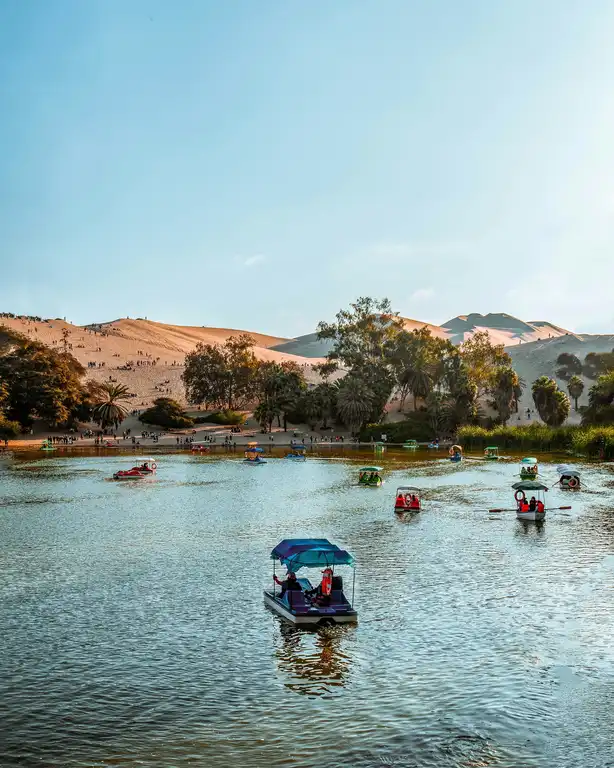 Paracas – Ica – Huacachina - imagen 2