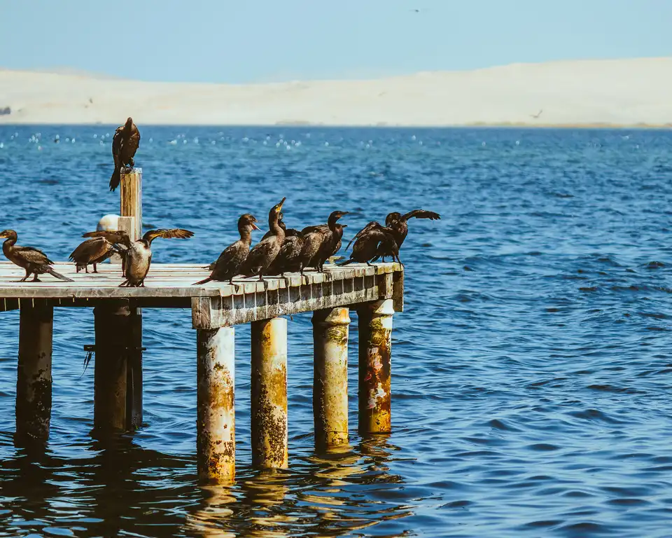 Lima, Paracas, Huacachina y Machu Picchu - foto 2