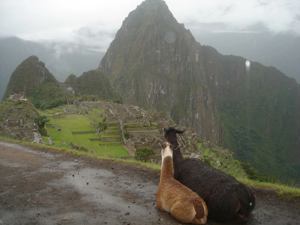 machu picchu