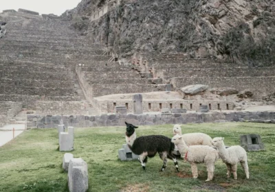 ruinas ollantaytambo cusco