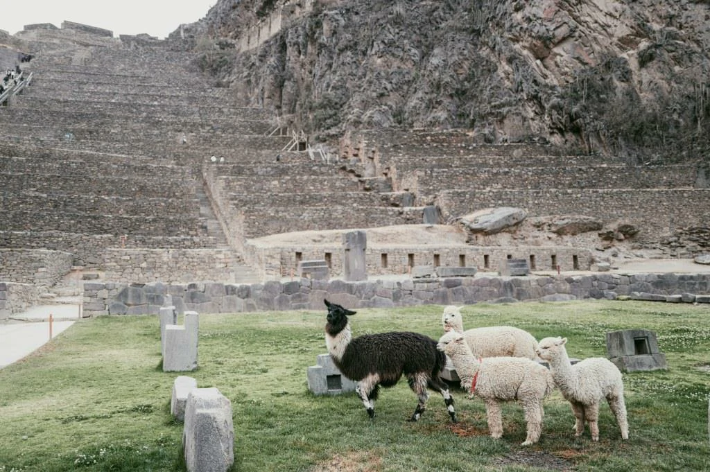 ruinas ollantaytambo cusco