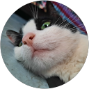 Elfer Mamani Turpo profile picture